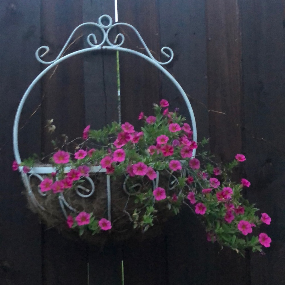 Meet your Posher, Tarah